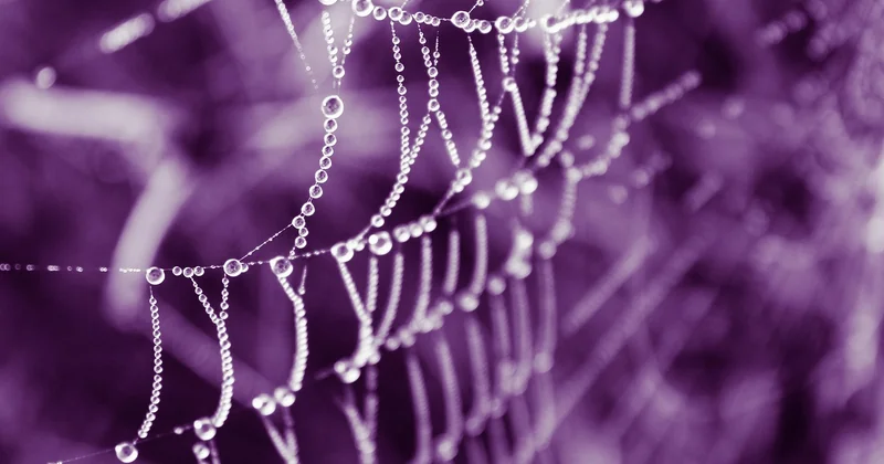 Les Core Web Vitals et l'impact des images : mesurer avant d'agir